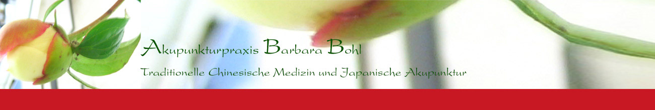 Akupunktur Berlin Mitte - Akupunkturpraxis Barbara Bohl - Traditionelle Chinesische Medizin und japanische Akupunktur