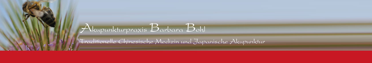 Akupunktur Berlin Mitte: Akupunkturpraxis Barbara Bohl Tel.:030/ 28873437, Heilpraktikerin im Akupunkturzentrum in Berlin - Mitte, Tucholskystr. 22: Berlin , Raucherentwöhnung, Heilpraktikerin Tucholskystr. 22 , Rheuma, Berlin,  Akupunkturzentrum , Kinder, Traditionelle, Berlin , Akupunktur, Barbara Bohl 10117,  TCM, Tucholskystr. 22 , Tcm Akupunkturzentrum , Ernährungsberatung, Berlin-Mitte, Akupunktur Berlin , Mitte, Mitte, Allergie 10117, Berlin, Berlin, TCM Tucholskystr. 22 , Japanische, Ernährung Akupunkturzentrum , Japanische, Akupunkturzentrum, Asthma Berlin ,Elemente, Bohl 10117, Heilpraktikerin, Schmerzen, Tucholskystr. 22 , Naturheilkunde, Akupunkturzentrum , Acupuncture, Japanische, Pflanzenheilkunde Berlin Schwangerschaftsbegleitung,  Gewichtsreduktion, Chinesische, Akupunktur 10117