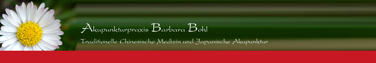 Akupunktur Berlin Mitte - Akupunkturpraxis Barbara Bohl - Traditionelle Chinesische Medizin und japanische Akupunktur