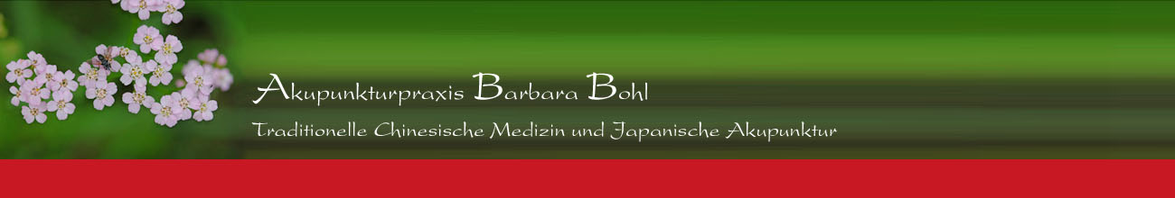 Akupunktur Berlin Mitte - Akupunkturpraxis Barbara Bohl - Traditionelle Chinesische Medizin und japanische Akupunktur