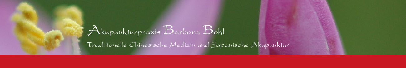 Akupunktur Berlin Mitte - Akupunkturpraxis Barbara Bohl - Traditionelle Chinesische Medizin und japanische Akupunktur