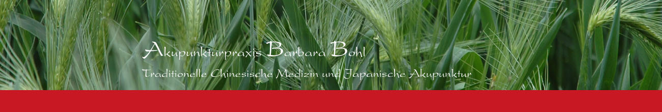 Akupunktur Berlin Mitte - Akupunkturpraxis Barbara Bohl - Traditionelle Chinesische Medizin und japanische Akupunktur